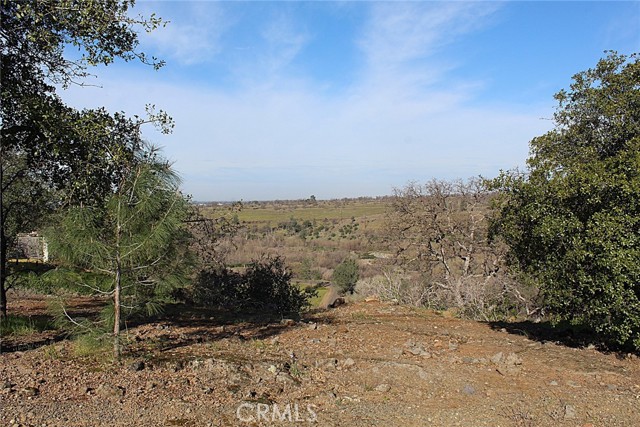 Front Image Thumbnail for CRPA26026954