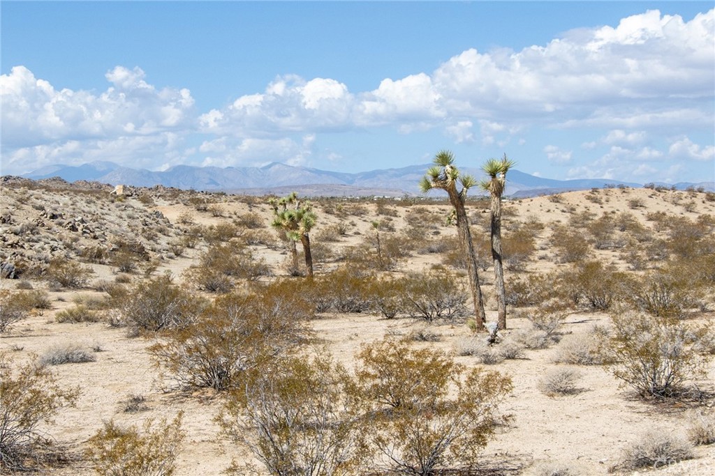 MLS #SN25221627 image #16