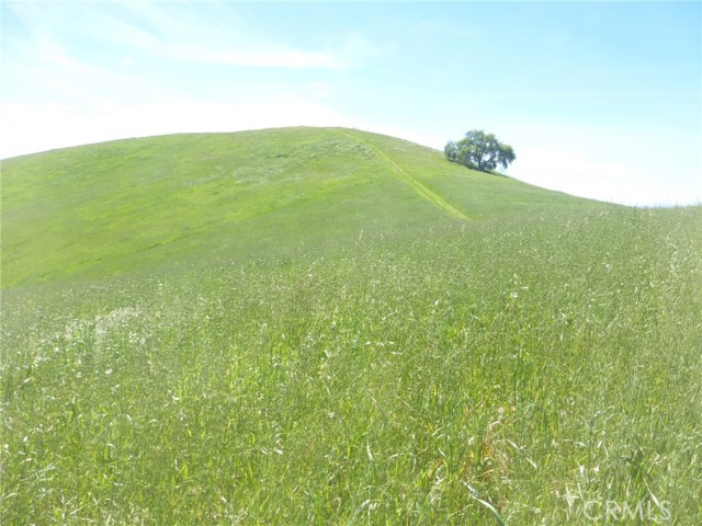 Detail Gallery Image 27 of 44 For 0 Douglas Rd. (Lot 34), San Miguel,  CA 93451 - – Beds | – Baths