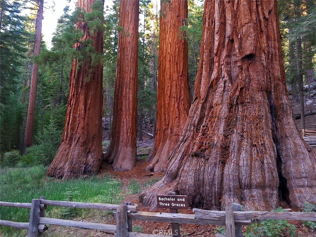 https://media.crmls.org/medias/4a911e55-6580-4810-b01f-d31ada469f3f.jpg?preset=X-Large