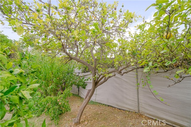 Detail Gallery Image 31 of 50 For 427 N Hicks Ave, East Los Angeles,  CA 90063 - 3 Beds | 2 Baths
