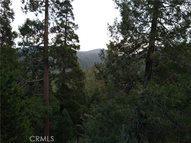 24672 Bernard Drive, Crestline, CA 92325