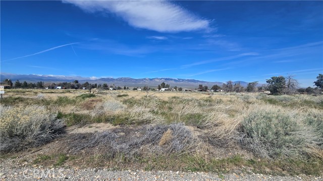 Detail Gallery Image 17 of 32 For 0 Lancaster Rd/Hwy 138 Vic 283rd W, –,  CA 93536 - – Beds | – Baths