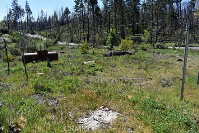 Detail Gallery Image 6 of 17 For 6 Sugar Pine, Berry Creek,  CA 95916 - – Beds | – Baths