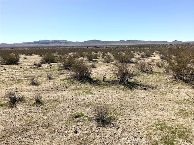 0 Palomino Road, Helendale CA: https://media.crmls.org/medias/4a9c8c0a-949a-453a-92a7-475c2908f97d.jpg