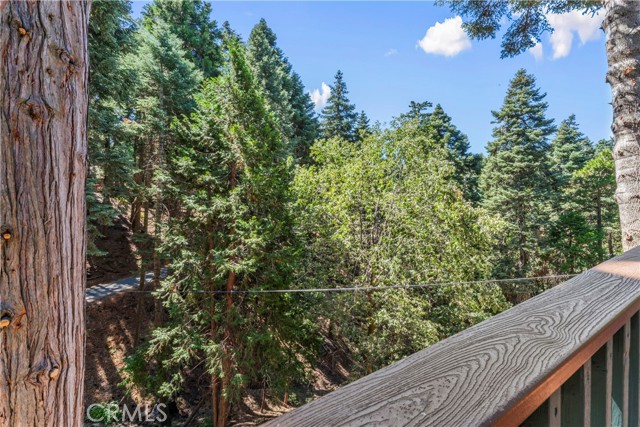 Detail Gallery Image 48 of 69 For 899 Blue Ridge, Lake Arrowhead,  CA 92385 - 3 Beds | 2 Baths