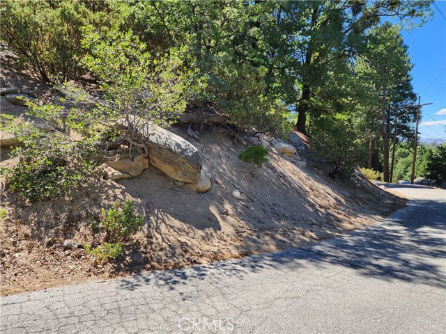 203 Canyon View Drive, Crestline, California 92325, ,Land,For Sale,203 Canyon View Drive,CRRW23202829