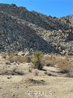 MLS #JT25262958 image #1