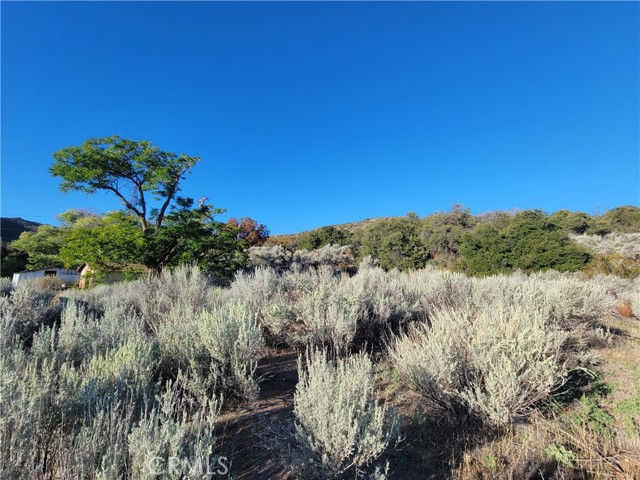Detail Gallery Image 39 of 46 For 44451 Jay Dr, Anza,  CA 92539 - 3 Beds | 2 Baths