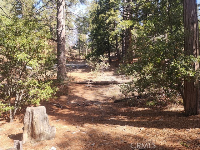 Detail Gallery Image 42 of 61 For 52547 Pine Cove Rd, Idyllwild,  CA 92549 - – Beds | – Baths