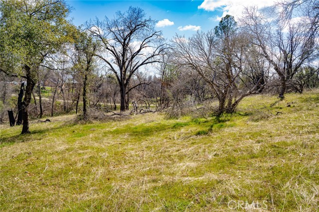 Detail Gallery Image 42 of 55 For 6096 Carter Rd, Mariposa,  CA 95338 - 3 Beds | 2 Baths