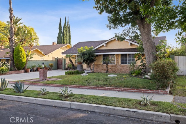 8419 Yolanda Avenue, Northridge CA: https://media.crmls.org/medias/4ab40bb5-2cc7-4bfd-8fa7-4d1938e997ce.jpg