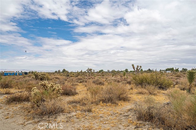 Detail Gallery Image 14 of 23 For 11839 Mountain Rd, Pinon Hills,  CA 92372 - – Beds | – Baths