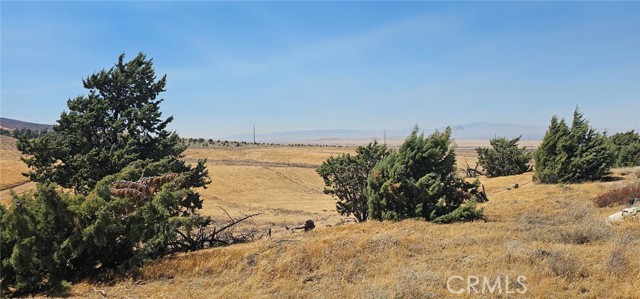 0 W Avenue L, Lancaster CA: https://media.crmls.org/medias/4ac4cef0-cd68-43cb-831b-bc88379c5d55.jpg