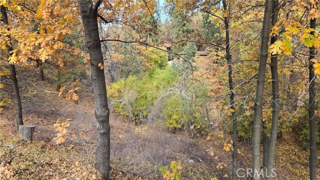 Detail Gallery Image 5 of 19 For 1000 Butte Ave, –,  CA 92314 - – Beds | – Baths