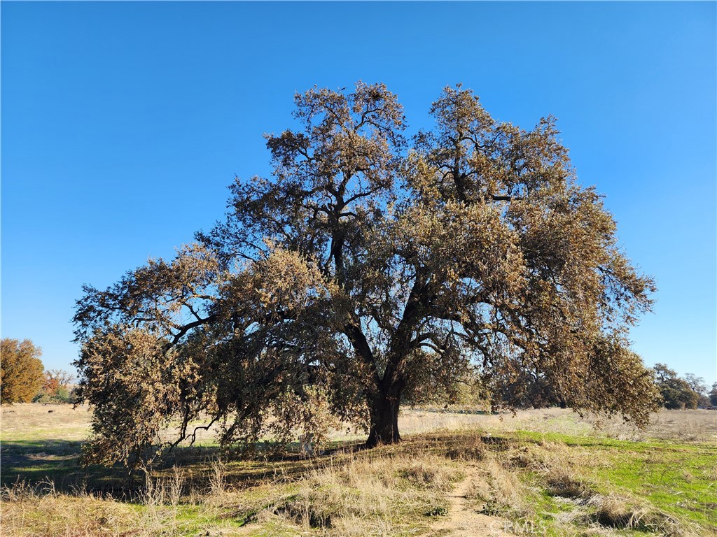 MLS #SN25262438 image #11