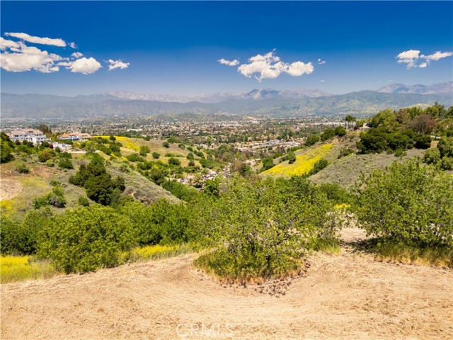 1545 Calle Cristina, San Dimas CA: https://media.crmls.org/medias/4ad6cf6a-0fb5-4274-ace9-d132635b0fd5.jpg