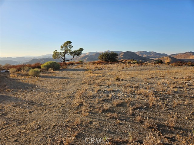 Detail Gallery Image 11 of 23 For 0 Angeles Forest, Palmdale,  CA 93550 - – Beds | – Baths