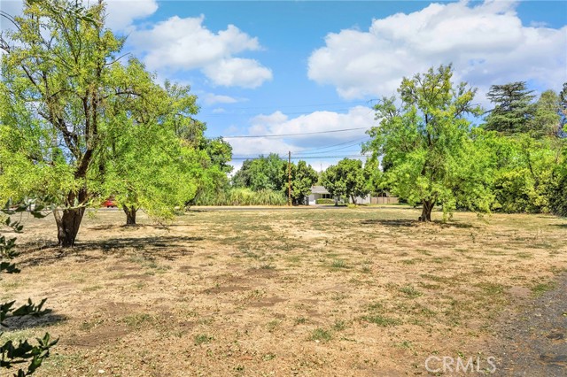 2176 Bidwell Avenue, Chico CA: https://media.crmls.org/medias/4adffcee-f7a4-4f0a-b930-fae6ed7ae700.jpg