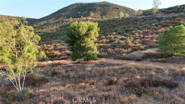 31355 Wild Lilac, Menifee CA: https://media.crmls.org/medias/4ae0012a-d905-469f-80fa-1b1c78825b66.jpg