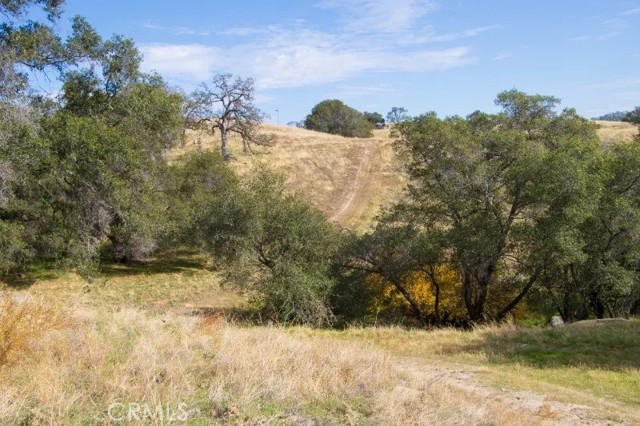 Detail Gallery Image 19 of 43 For 0 Millstream, Coarsegold,  CA 93614 - – Beds | – Baths