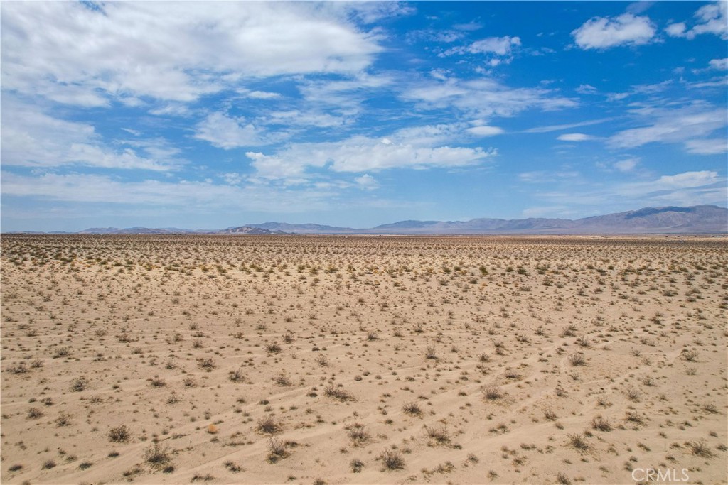 MLS #JT25081343 image #20