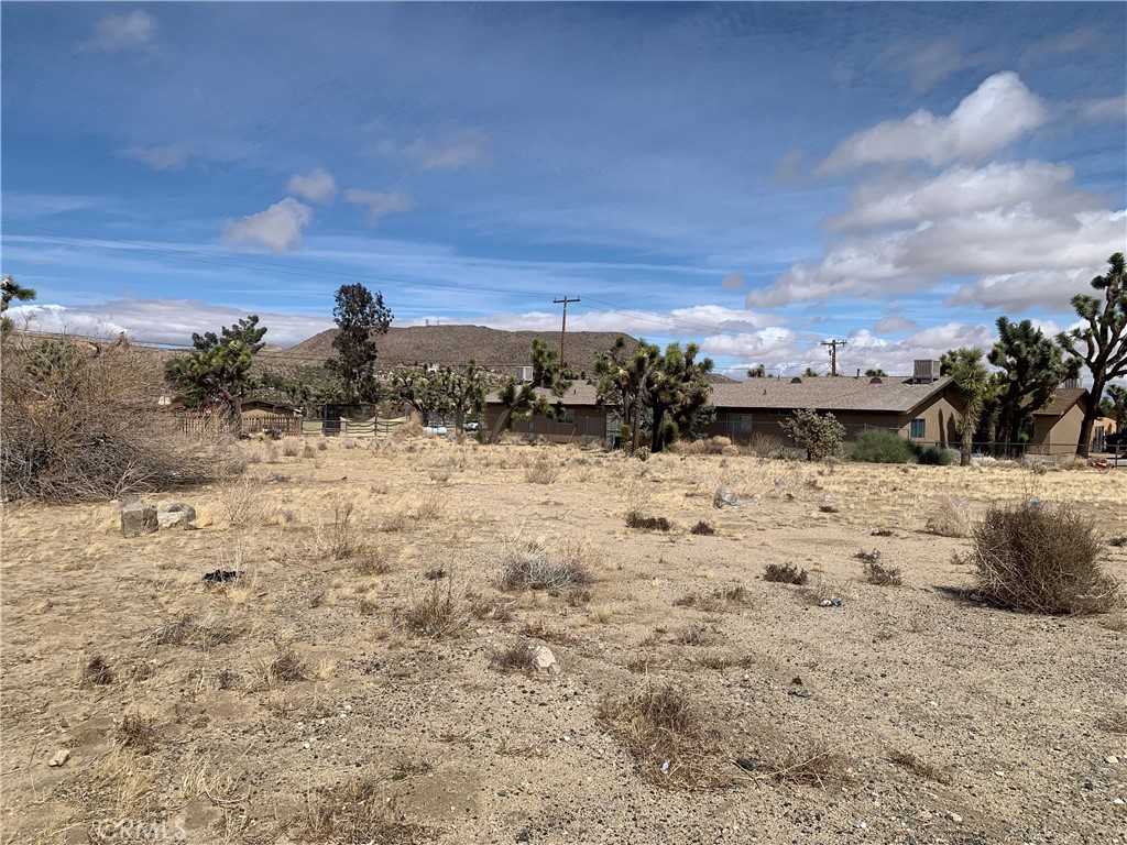 MLS #NP25067854 image #5