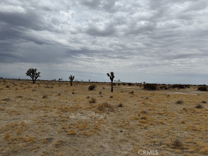MLS #SR26165095 image #30