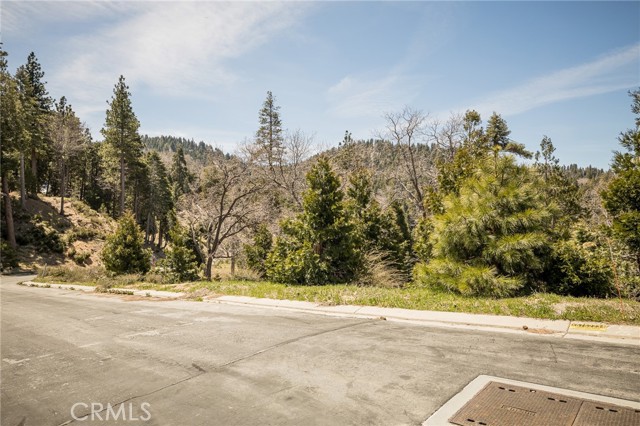 Detail Gallery Image 10 of 14 For 226 Hidden Forest Rd, Lake Arrowhead,  CA 92352 - – Beds | – Baths