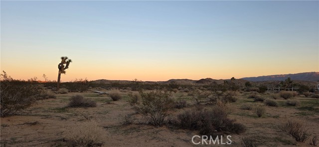 Detail Gallery Image 2 of 6 For 0 Campanula St, Joshua Tree,  CA 92252 - – Beds | – Baths