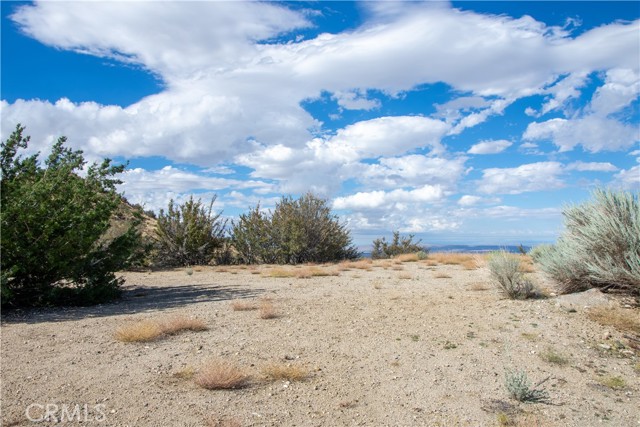 Detail Gallery Image 9 of 11 For 8160 Green Rd, Pinon Hills,  CA 92372 - – Beds | – Baths