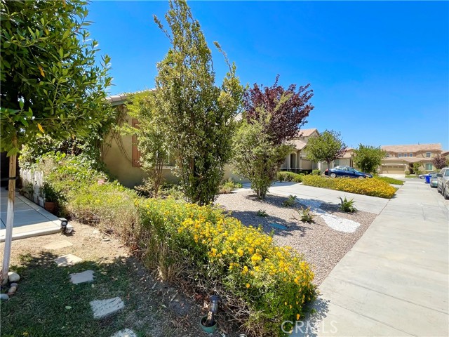 Image 3 for 15593 pumpkin Pl, Fontana, CA 92336