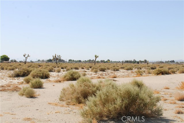 Detail Gallery Image 3 of 14 For 4 Ac Markham Ave, El Mirage,  CA 92301 - – Beds | – Baths