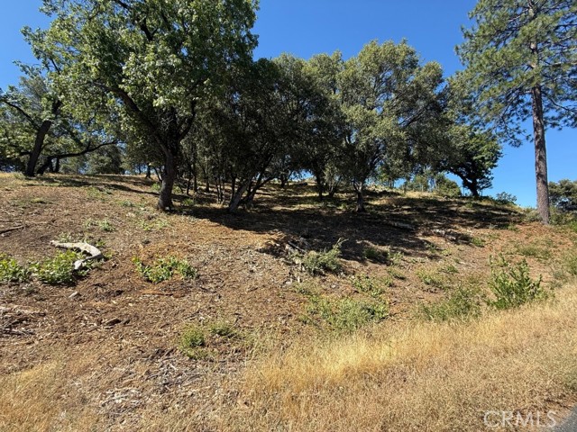5710 Clouds Rst, Mariposa CA: https://media.crmls.org/medias/4b0fbd01-25be-4194-b959-d00063c8481d.jpg