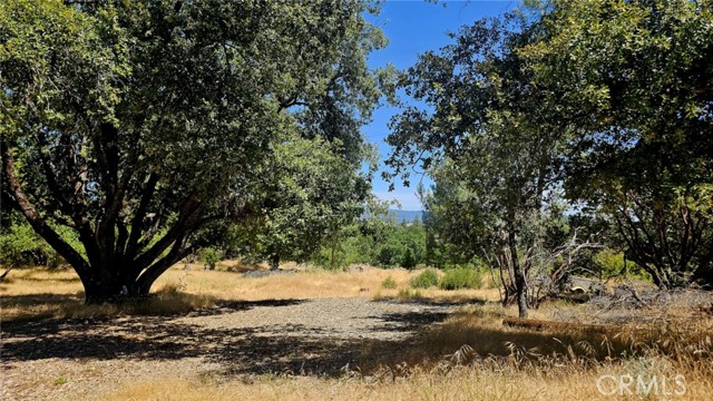 5430 Clouds Rest, Mariposa CA: https://media.crmls.org/medias/4b1280dc-41a0-4b7d-845a-21478fbc3a06.jpg
