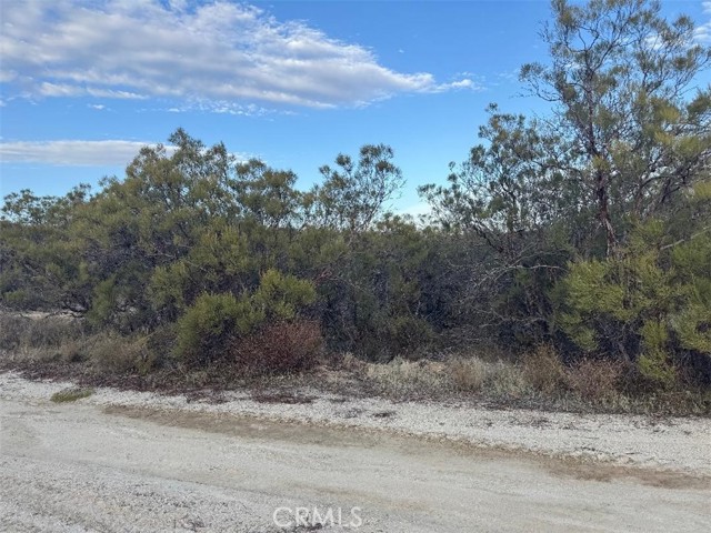 0 Springbrook Trail, Anza CA: https://media.crmls.org/medias/4b13c231-5d33-4b64-8e28-0f979fd5f45a.jpg