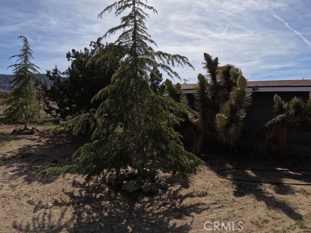 Detail Gallery Image 27 of 67 For 30000 Buchannon Ranch Rd, Llano,  CA 93544 - 3 Beds | 2 Baths