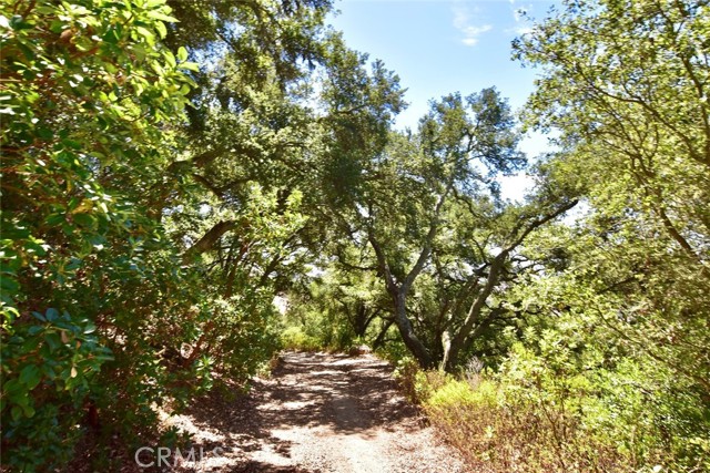 Detail Gallery Image 23 of 26 For 0 Old Creek Rd, Templeton,  CA 93465 - – Beds | – Baths