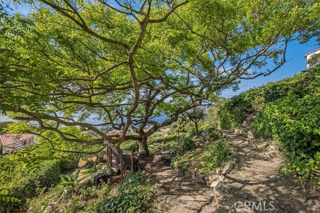 Mature tree provides ample shade mid-tier in backyard