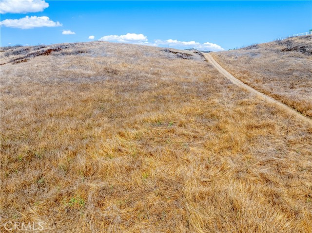 MLS #SW25193539 image #48