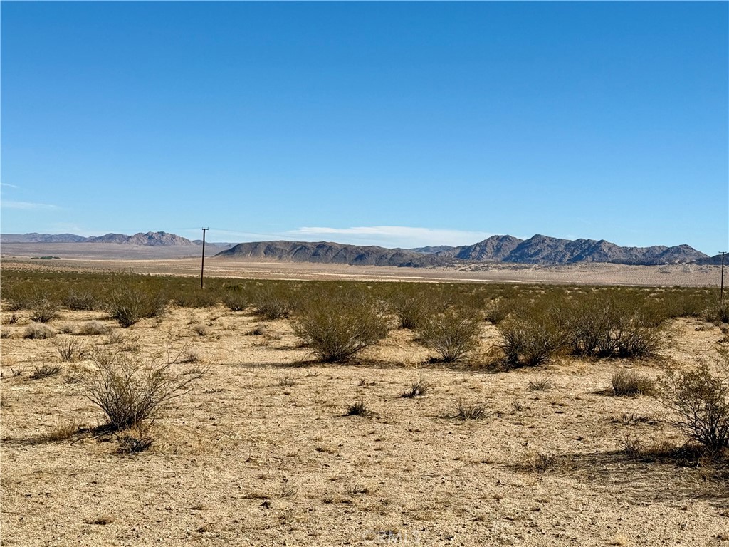 MLS #JT25208342 image #18