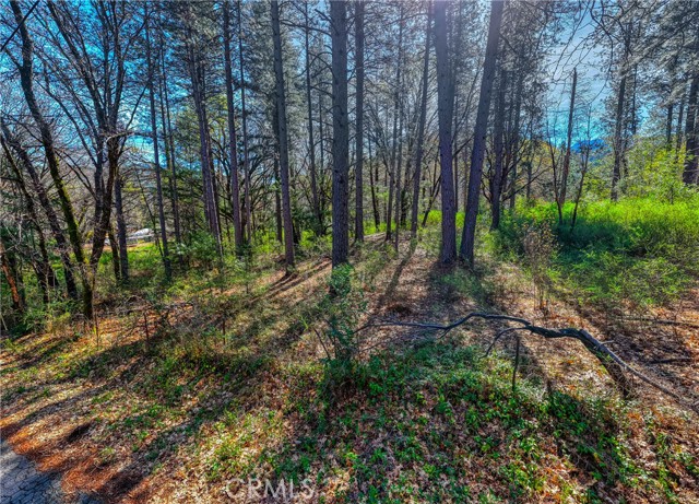 Detail Gallery Image 3 of 19 For 15347 Western Mine, Middletown,  CA 95461 - – Beds | – Baths