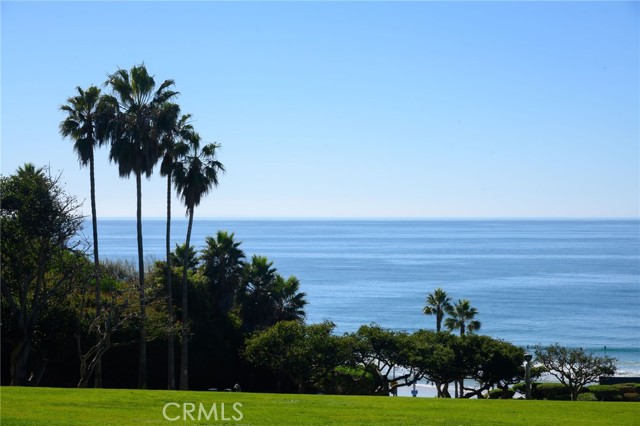 Detail Gallery Image 59 of 60 For 65 Palm Beach Ct, Dana Point,  CA 92629 - 3 Beds | 2/1 Baths