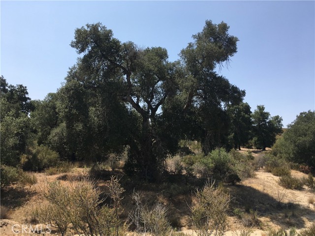 Detail Gallery Image 3 of 26 For 35010 Willow Creek Rd., Hemet,  CA 92544 - – Beds | – Baths