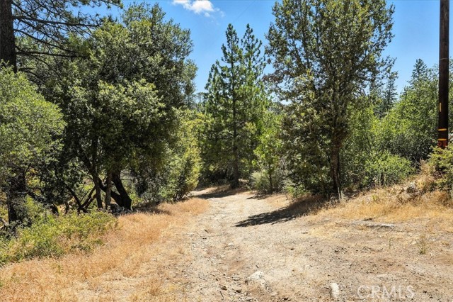 46467 Bissett Station Road, Oakhurst CA: https://media.crmls.org/medias/4b50b45c-0f11-44ac-8fe4-e311b56f141f.jpg