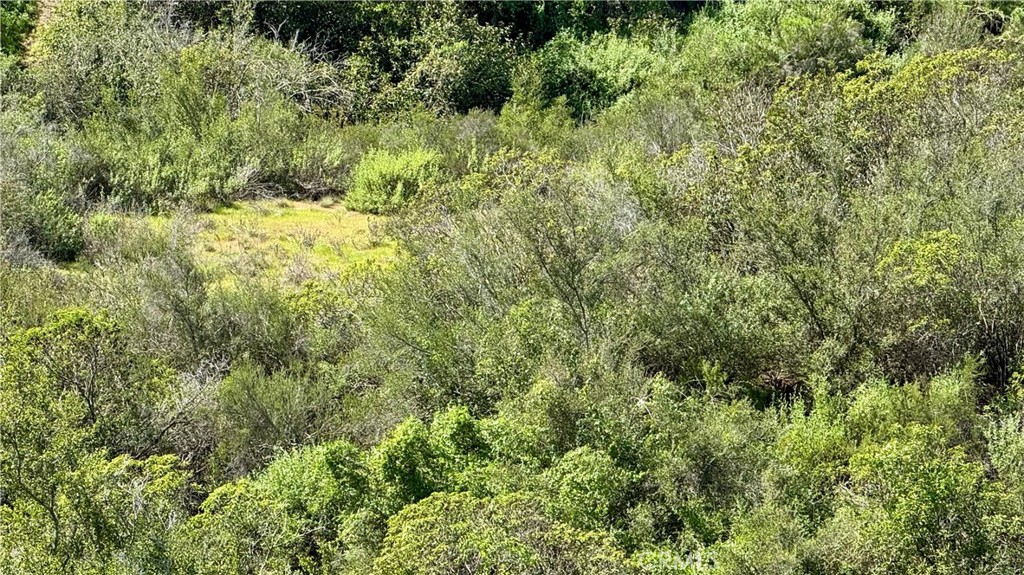 Twin Oaks Valley San Marcos - photo 2