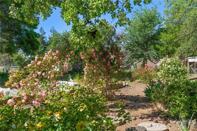 Detail Gallery Image 60 of 75 For 5 Roseanna Ct, Chico,  CA 95973 - 4 Beds | 2/1 Baths
