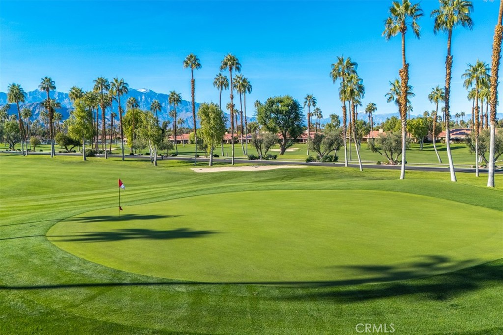 MLS #JT25269742 image #5