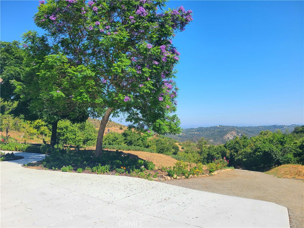 https://media.crmls.org/medias/4b5c3800-f4cc-42b9-adab-0d853077bca6.jpg?preset=X-Large