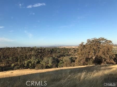 Front Image Thumbnail for CRSN25257118